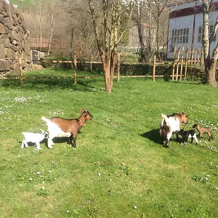 Prieto Cortes (Asturias)