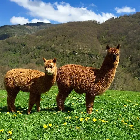 Prieto בית כפרי