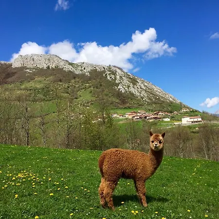Prieto * Cortes (Asturias)
