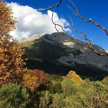 Prieto * Cortes (Asturias)