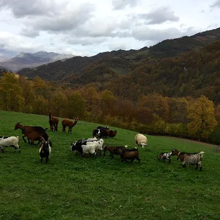 Prieto Cortes (Asturias)