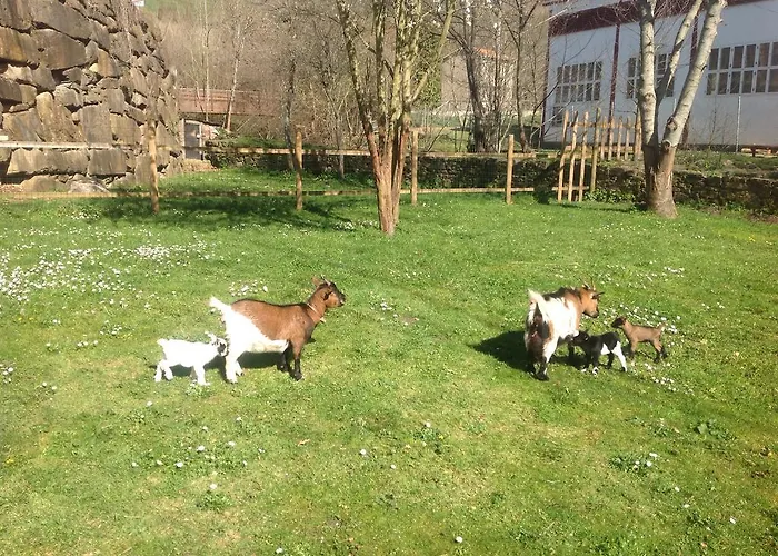 Prieto Cortes (Asturias)