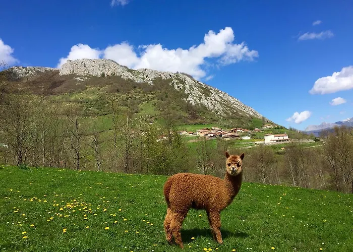 Prieto * Cortes (Asturias)