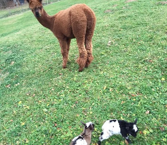 Casa rural Prieto Cortes (Asturias)