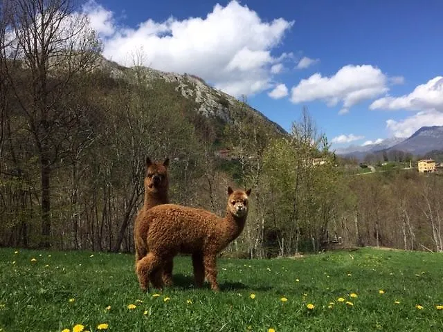 Prieto * Cortes (Asturias)