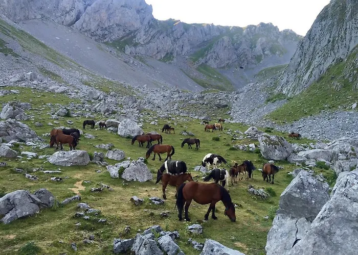 Casa rural Prieto Cortes (Asturias)