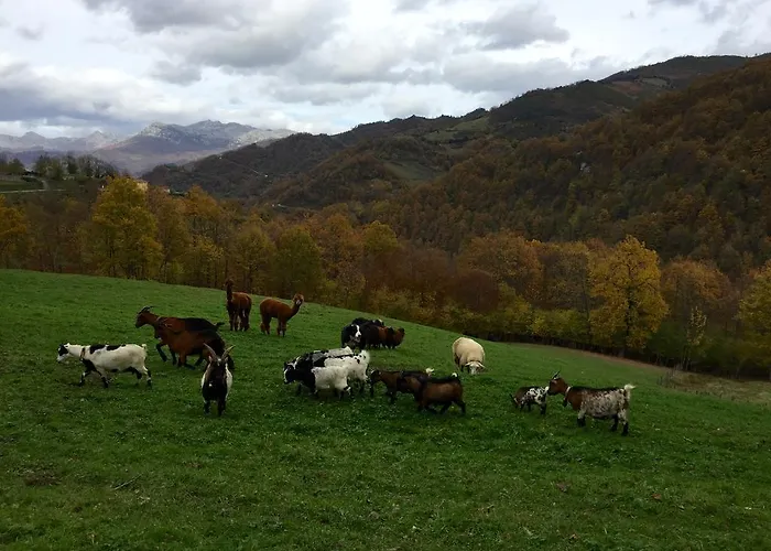 Prieto Cortes (Asturias)